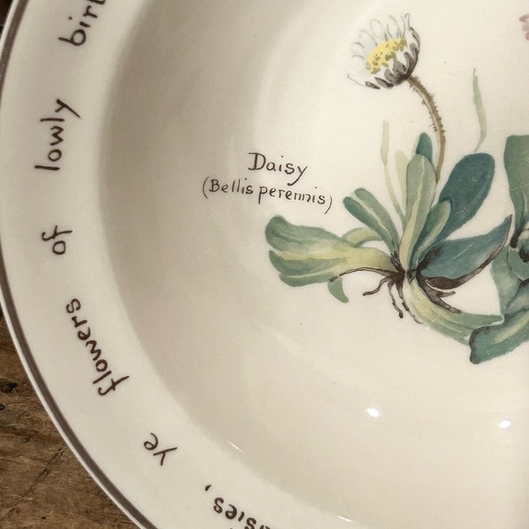 Noritake Country Diary of an Edwardian Lady Cereal Bowls, set of 2 - Picture 2 of 6